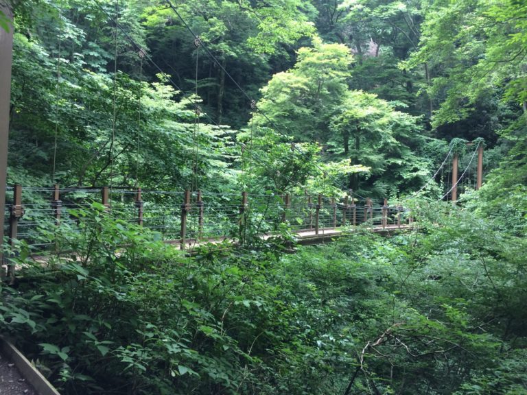 高尾山吊り橋